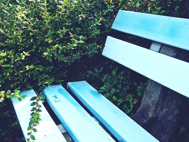 重的結果 重的結果